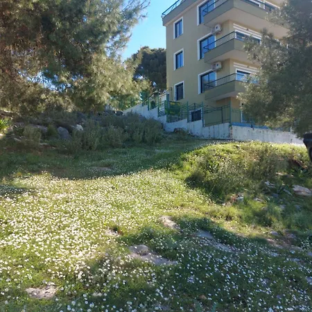 Luiziana * Sarande