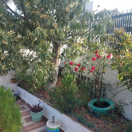 Luiziana Appartement