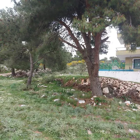 Luiziana דירה